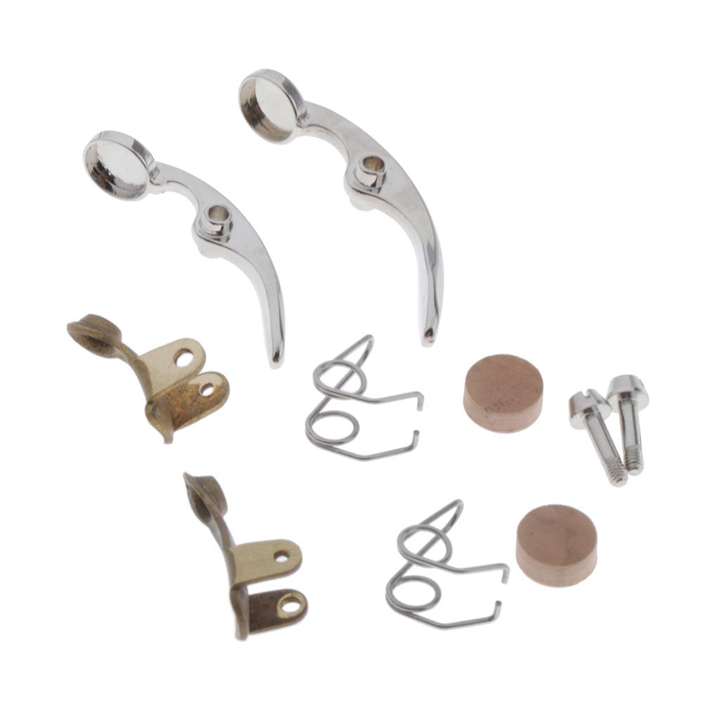 2 Set Tromba Acqua Chiave Valvola Molle Viti Parti Strumento in Ottone