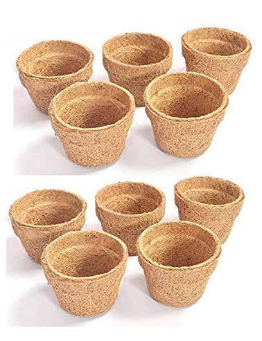 See full amazon price history chart for COIRGARDEN-Coir Pot, Coco Basket 4 INCH(10 CM) 10 Pieces - Large Size Seedling Cups for Plants - COIR GARDEN COIRGARDEN-Coir Pot, Coco Basket 4 INCH(10 CM) 10 Pieces - Large Size Seedling Cups for Plants - COIR GARDEN (B07BHGG1SD) Amazon Price History, Amazon Price Tracker