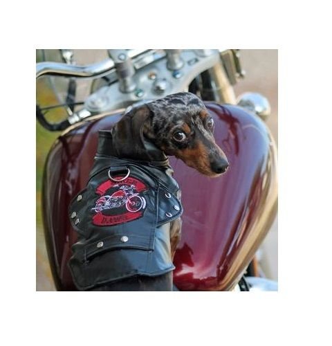 DOGGIE DESIGN Biker Dawg Motorcycle Dog Jacket Harness Vintage Black Faux Leather Choose Size(Medium) DOGGIE DESIGN Biker Dawg Motorcycle Dog Jacket Harness Vintage Black Faux Leather Choose Size(Medium)