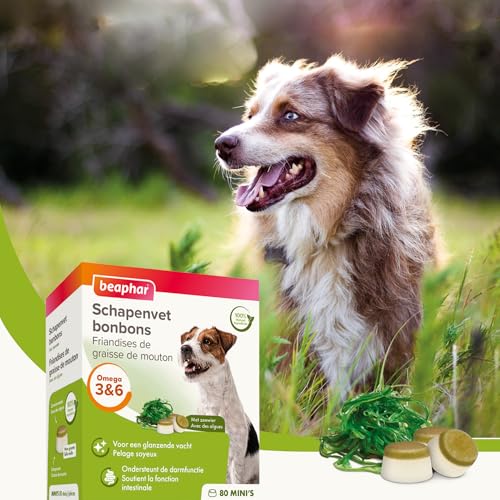 Beaphar Schaffett Bonbons Seetang Mini 245 Gramm