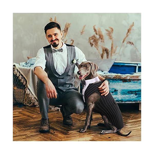 Dora bridal formal dog tuxedo for medium large dogs, labrador pet wedding party suit outfit with detachable bowtie collar neckerchief bandana, dress-up halloween costumes handsome elegant cosplay - image 7
