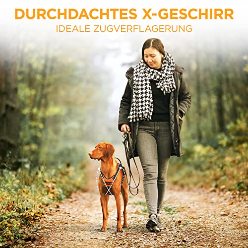 Tierhood - Hundegeschirr für kleine, mittel und große Hunde - [INKL. HALSCLIP] - Geschirr - Sicherheitsgeschirr - Hundegeschirr mittelgroße - Hunde Geschirr - Zuggeschirr