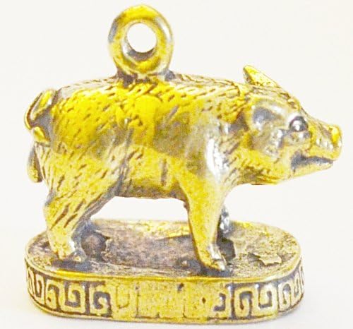 Amulets Powerful Pig Hunting Money Love Luck Rich Good Business Amulet