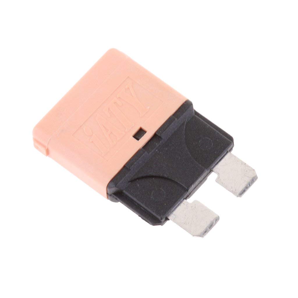 Lot de 21 Mini fusibles manuels pour Voiture