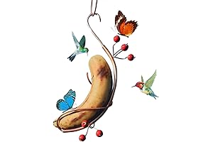 Butterfly Banana Hammock: The Perfect Way to Attract Birds to Your Garden