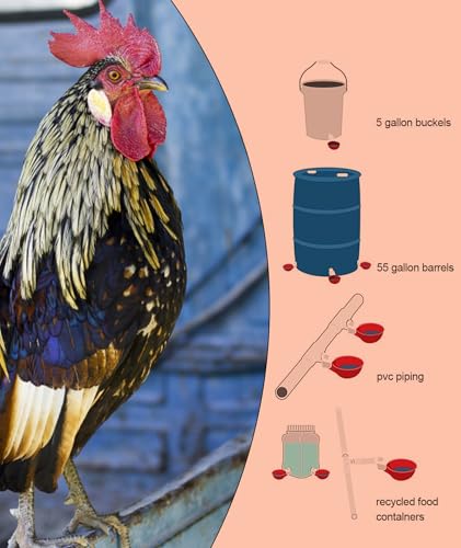 Image of 10 Pcs Chicken Feeder and Drinker, Chicken Feeder Cup, Poultry Farm Equipment Poultry Automatic Drinking Bowl