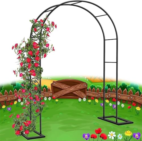 ^K[fA[` K[fA[o[ X`[t[ K[f[YA[`Obh dċ NC~OvgA[`(W1.2M*H2.2M)