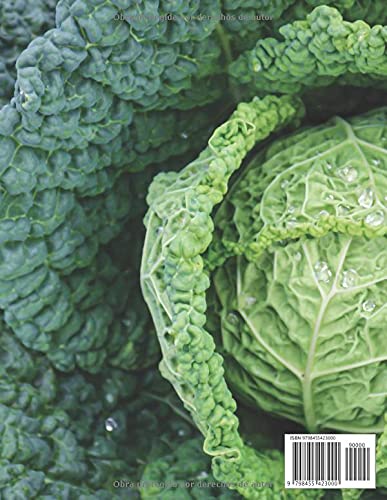 Miniatura 2 de Por qué los alemanes adoran la col Las recetas más deliciosas e importantes. Para principiantes y avanzados y cualquier dieta (Spanish Edition)