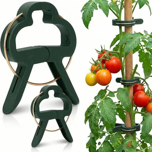 Pflanzenclips - Pflanzenklammern L & M Set Rankhilfe für Kletterpflanzen und Zimmergrün Pflanzenclips für Tomaten Gurken & Rosen(30 Große + 30 Kleine)