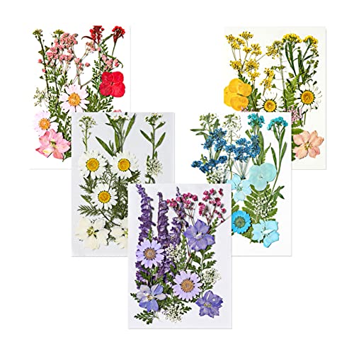 Amazon.ca Most Wished For Items customers added to Wish Lists and