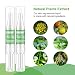 Skin Tag Remover, Mole Removal,Mole remover pen pluma de pecas,Manchas Cara Eliminación,Quitar...