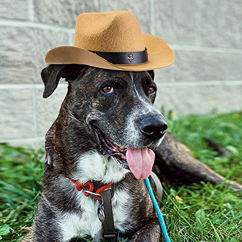 Yewong 3 Pieces Pet Hat Pet Formal Top Hat Mexico Sombrero Hat Cowboy Hat Dog Cat Pet Costume Hat For Halloween Party Photo Props Supplies #TOP3