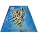 Carte en relief de la Corse et ses fonds marins : 1/350 000