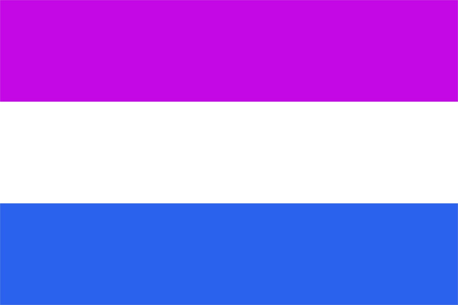 Drapeau Exosexualidad large contre l'invisibilité pour l'acceptation communautaire