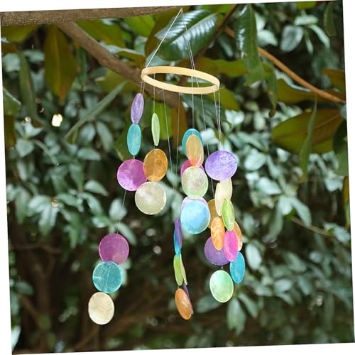 Coquillages ronds de qualité supérieure pour fabrication de suspensions et objets d'art - 7