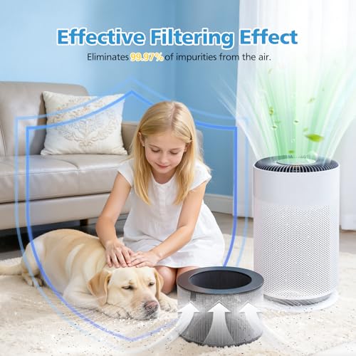 Image of PuriCare 360 Filter Replacement for LG PuriCare 360 Air Purifier, AS601HBB0 | 3-in-1 Filtration, HEPA+ Activated Carbon+Pre-Filter, for Home Large Small Room Bedroom up to 2059 ft Air Clean, 1 Pack