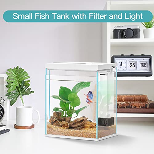 image for Pronetcus Betta Fish Tank, 2 Gallon Glass Aquarium Starter Kit, Small 