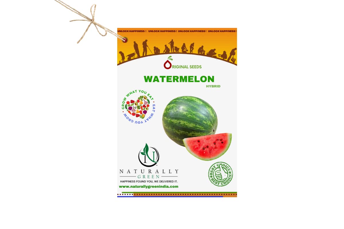 Naturally Green Watermelon ( Light Green with Dark Green Stripes) Seeds (Pack of 25 seeds). Bacteria Wilt Tolerant (BWT). Tolerance to Leaf Curl (TOLC). Non GMO. (B09QC31SJP) Amazon Price History, Amazon Price Tracker