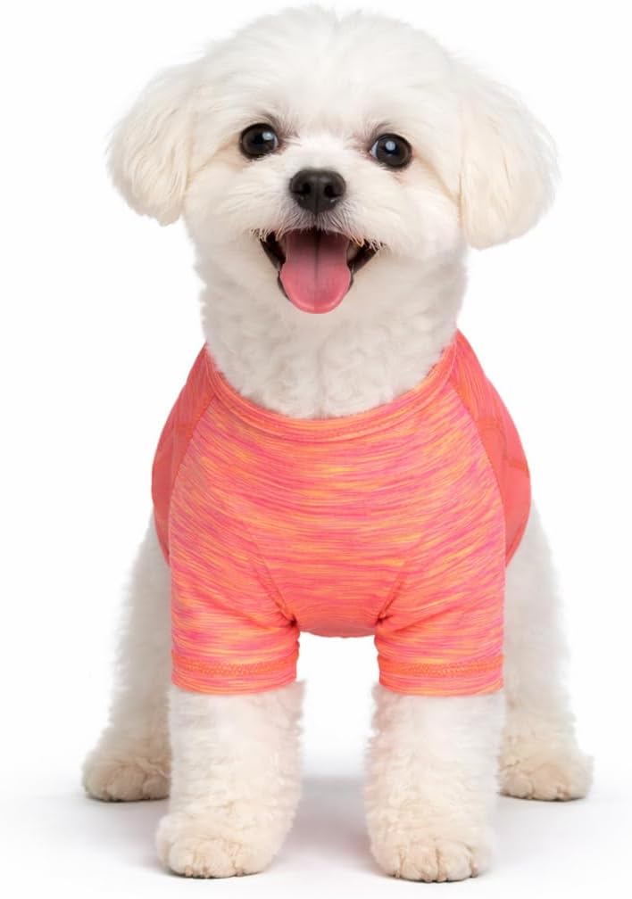 Pet Life Active Warf-Speed Heathered Ultra-Stretch and Quick Dry Reflective Sporty Performance Dog T-Shirt