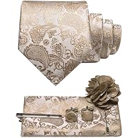 JEMYGINS Corbata para hombre Paisley con pañuelo de bolsillo,