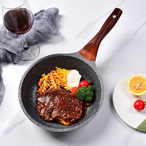 Caannasweis 8\" Nonstick Frying Pan Dishwasher Safe, Stone Skillet Pans for eggs, Induction Omelette Pan Non Toxic 100% PFOA Free