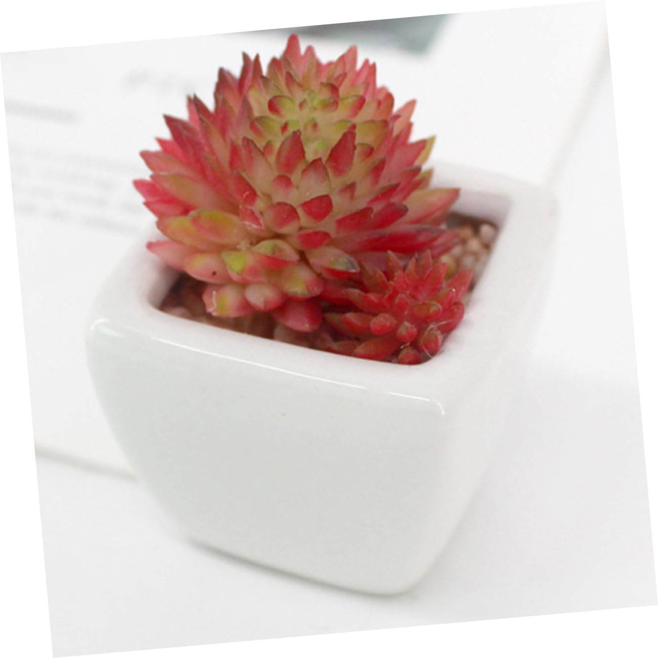 Künstliche Sukkulenten in Keramiktöpfen Mini-Bonsai-Pflanzen als Dekoration für Schreibtisch Fensterbank und Regal