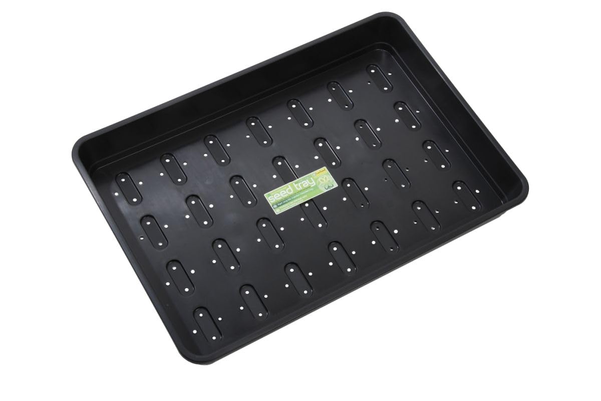 Muddy Hands Heavy Duty Extra Large Plastic Seed Growing Tray Garden Greenhouse Seedling Germination Tray (Comes With Drainage Holes)