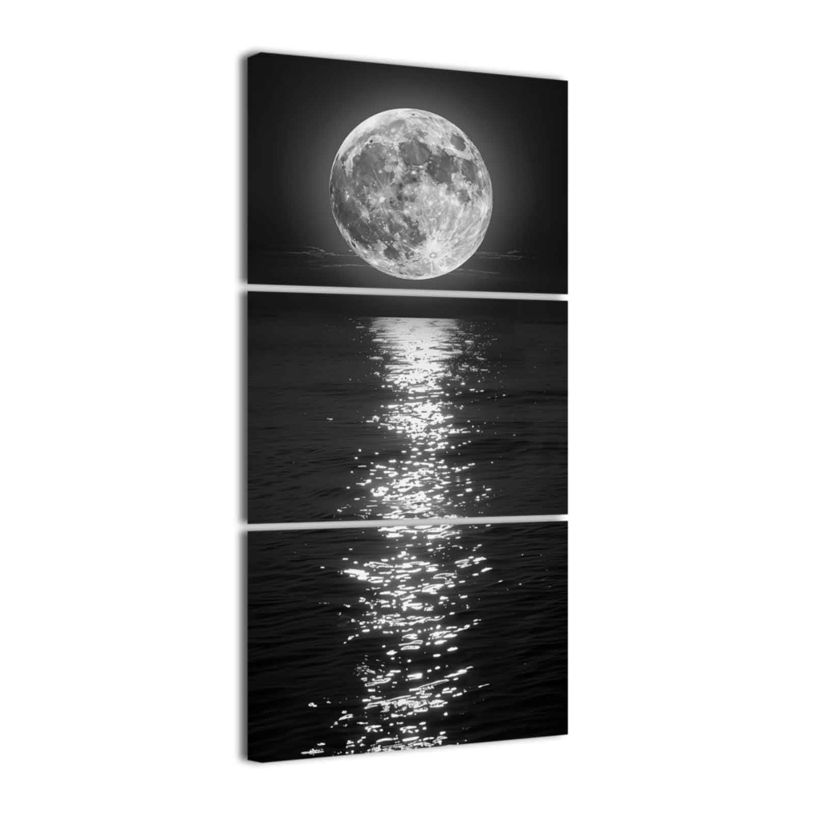 Amazon.co.jp: SWQYLB満月キャンバスウォールアート縦型白黒月