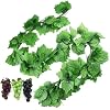 Grape and Garlands
