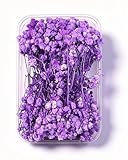 Schleierkraut Getrocknet 15cm Trockenblumen Zum Basteln - 12 Stück Getrocknete Blumen, Lila Baby’s Breath Trockenblumen Deko Echte Natur, für DIY, Hochzeitsdeko, Haarschmuck, Wohnkultur