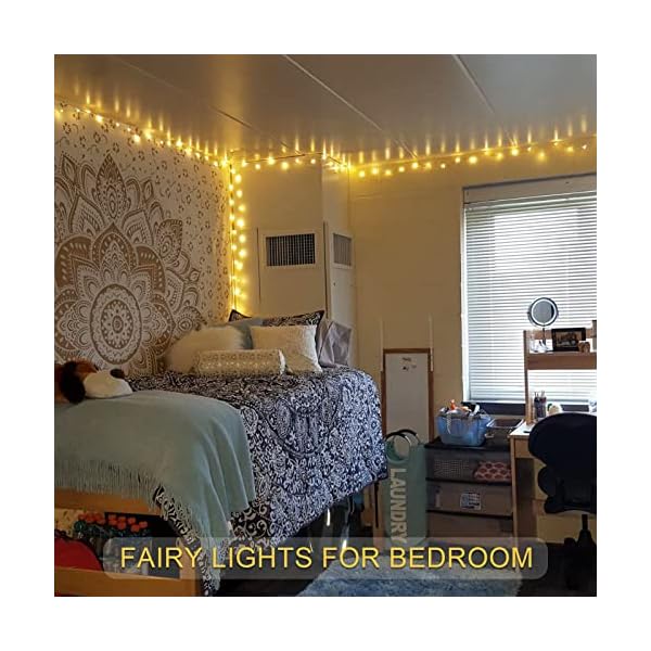 Jmexsuss copper string lights - image 7