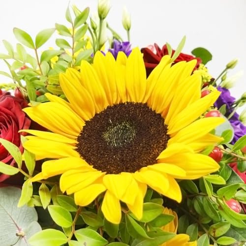 Sommerblumen Premiumstrauß - Strauß Sommerzauber - Inklusive Grußkarte