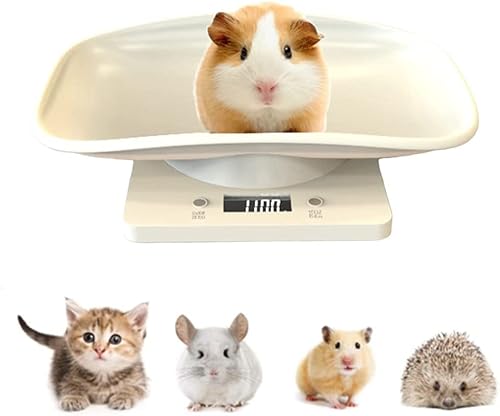 �y�b�g�̏d�v �f�W�^�� �y�b�g�X�P�[�� �d�q�y�b�g�̏d�v ���^�����p ���� �|�[�^�u�� ���^��/�L/�������ȂǗp ���܂ꂽ�΂���̃y�b�g ���N�Ǘ� �얞�΍� �d�r�� �ő�10 kg���{�������