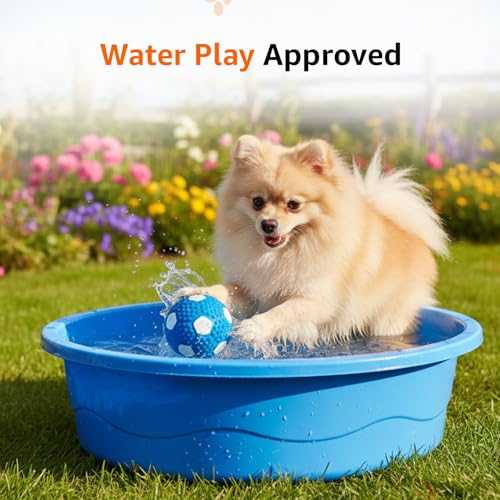 Image of Amazon Basics Durable Soccer Ball Squeaky Dog Toy | Non-Toxic Natural Latex Rubber | Dental Texture | Water Play Friendly | for Small to Large Dogs | 5-30 kg