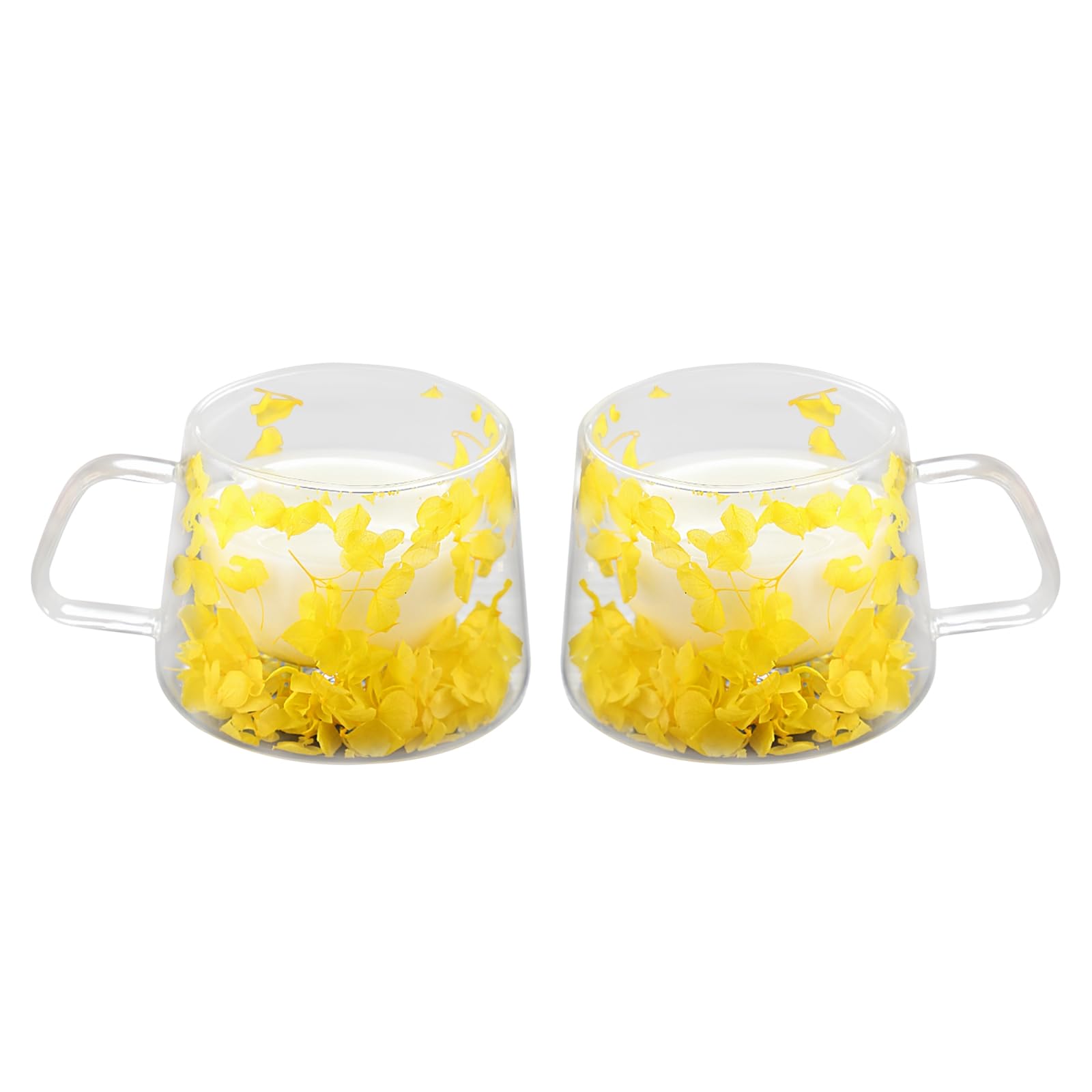 LeKuni Dubbelwandige Mok met Gedroogde Bloemen, 350 ml Dubbelwandig Glas, Espressokopjes Transparant Glas Voor Cappuccino, Espresso, Latte, Thee (Geel