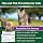 Cat Flea and Tick Prevention & Treatment - Flea and Tick Prevention for Cats, 6-Month Supply, Flea Control, Repellent, Suitable for Cats Over 1.5 lbs, Flea Supplements - 4