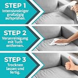 REINHORN Polsterreiniger mit Molekularbrecher ohne Wiederverschmutzung durch Tensidfreie Formel - Spezial Intensivreiniger für Textilien und Leder - Reiniger für Sofa, Couch, Auto, Polster, Teppich