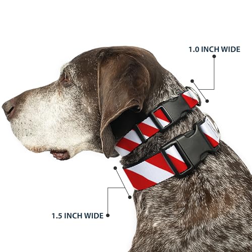 Collier à rayures bicolores Buckle Down taille M pour chien avec boucle plastique clipsable