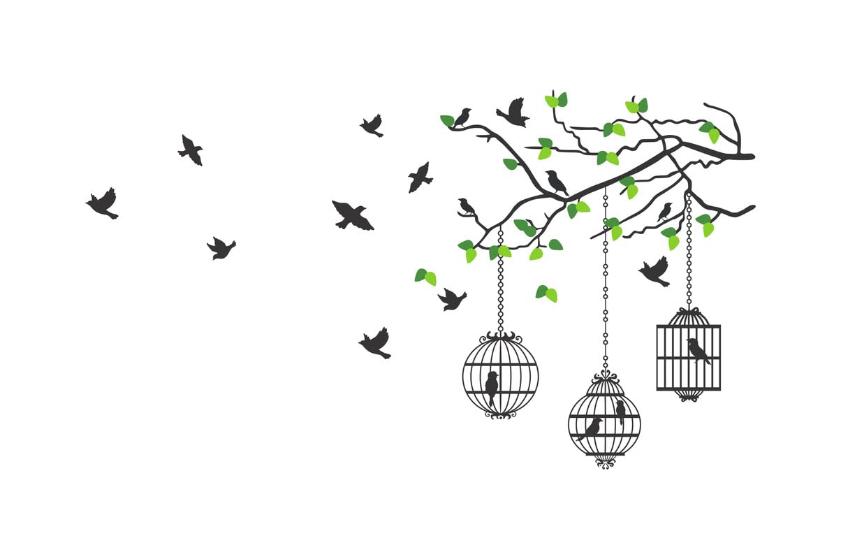 Dreamkraft Flying Bird with Cage Wall Sticker | Eye Catching Wallpaper for Home Decor (Multicolor, PVC Vinyl, 76 x 136 cm)