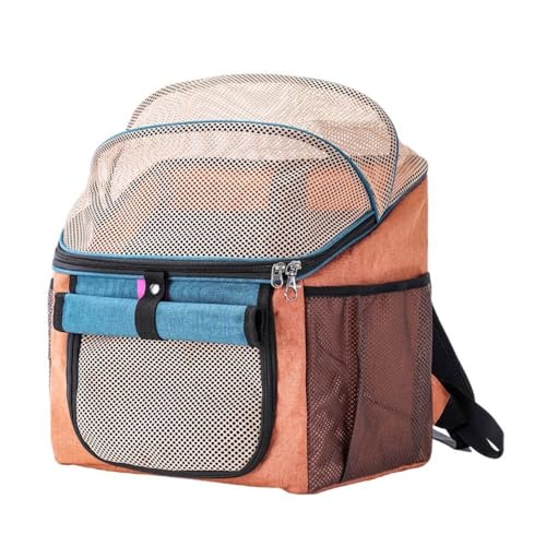 Vilom ƂoɁB_ŒŎ]Ԃɂ葕łybgLAobOB܂肽ݎ[\ŕt̃obNpbNXgbvŎ^ъyXBʋCbVňKB (IW)