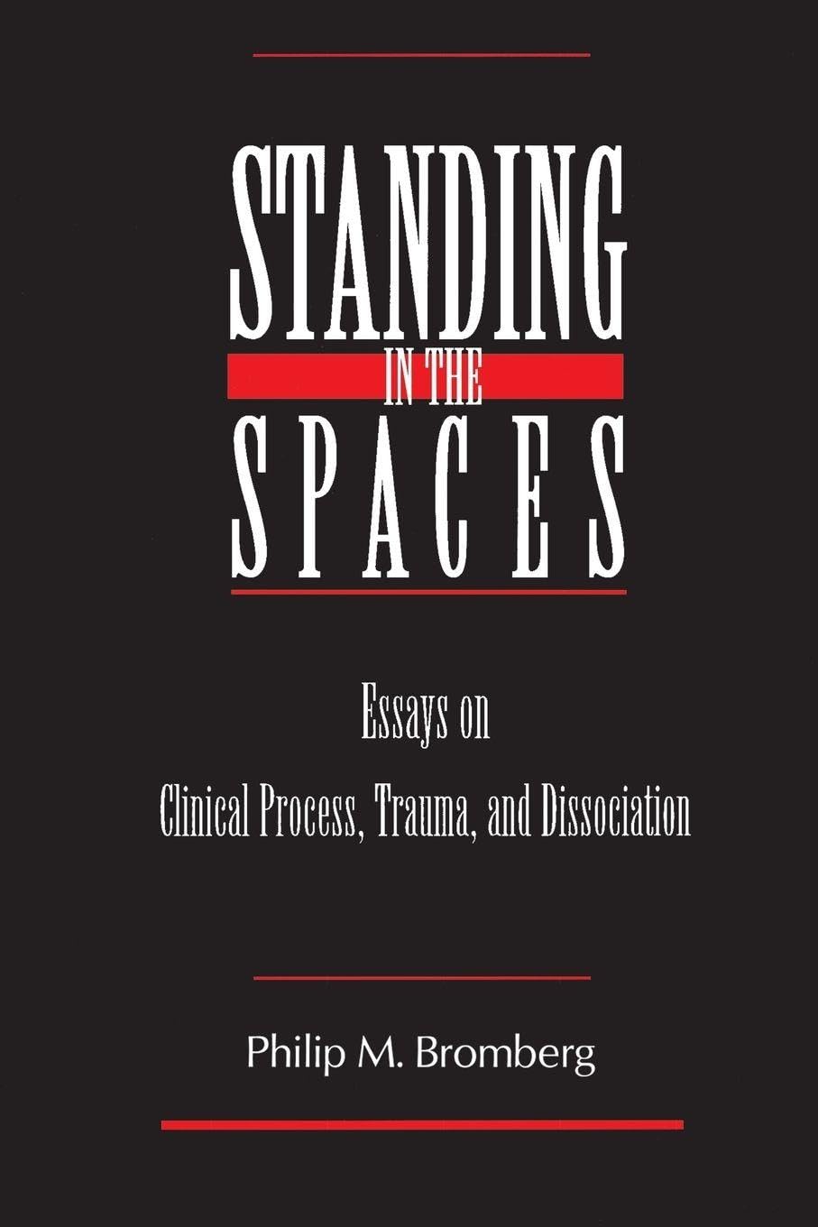 Standing in the Spaces by Philip M. Bromberg PAPERBACK 9780881633566