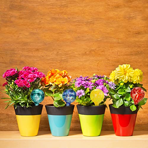 Fasmov 6 Piece Automatic Watering Bulbs, Plant Watering, Decorative Garden Watering Cans Glass Drip Ball, Automatic Watering System, 2.36 Inch Diameter, Assorted Colors #TOP6