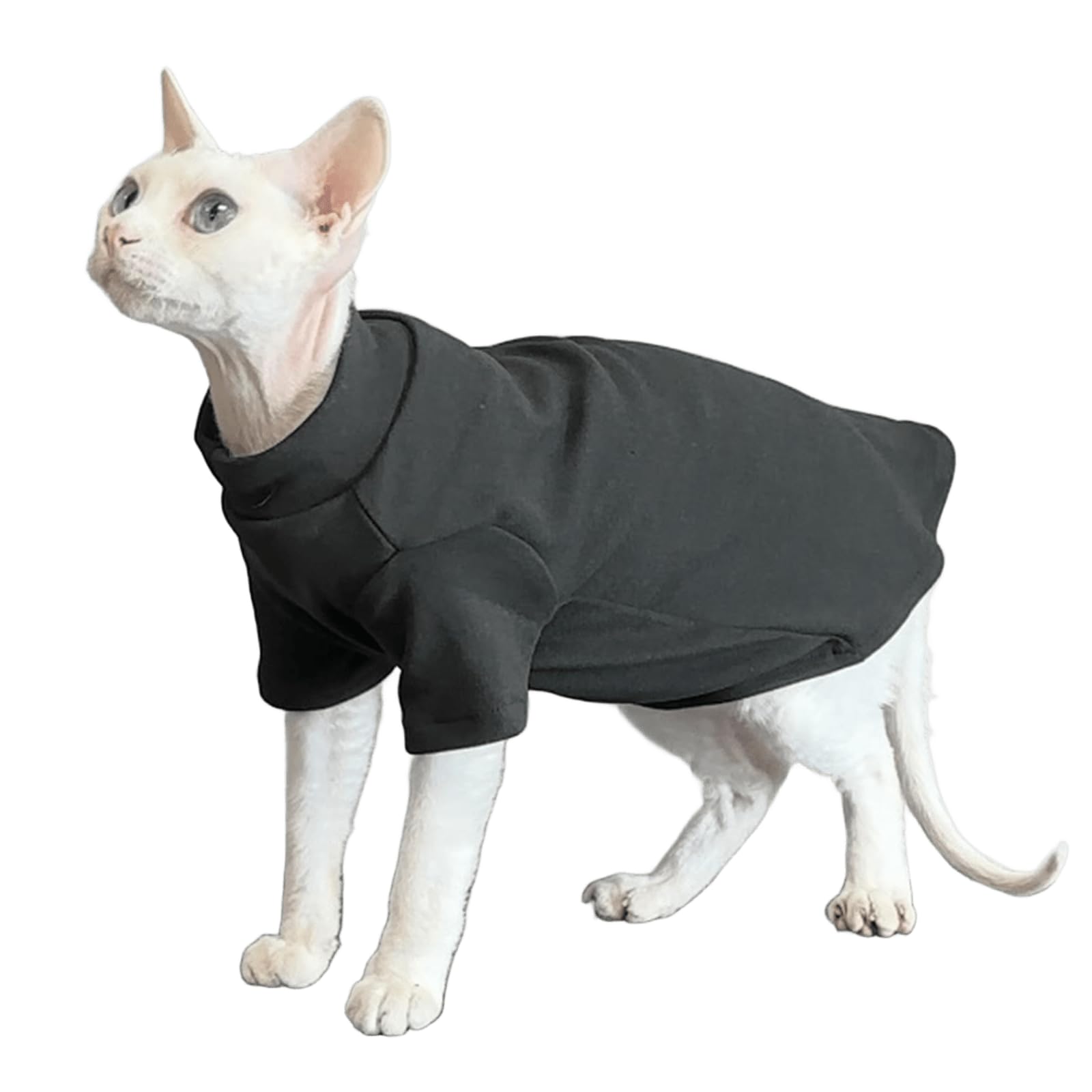 Pyjamas jumpsuit pour Sphynx élastique et confortable pour chaton Devon