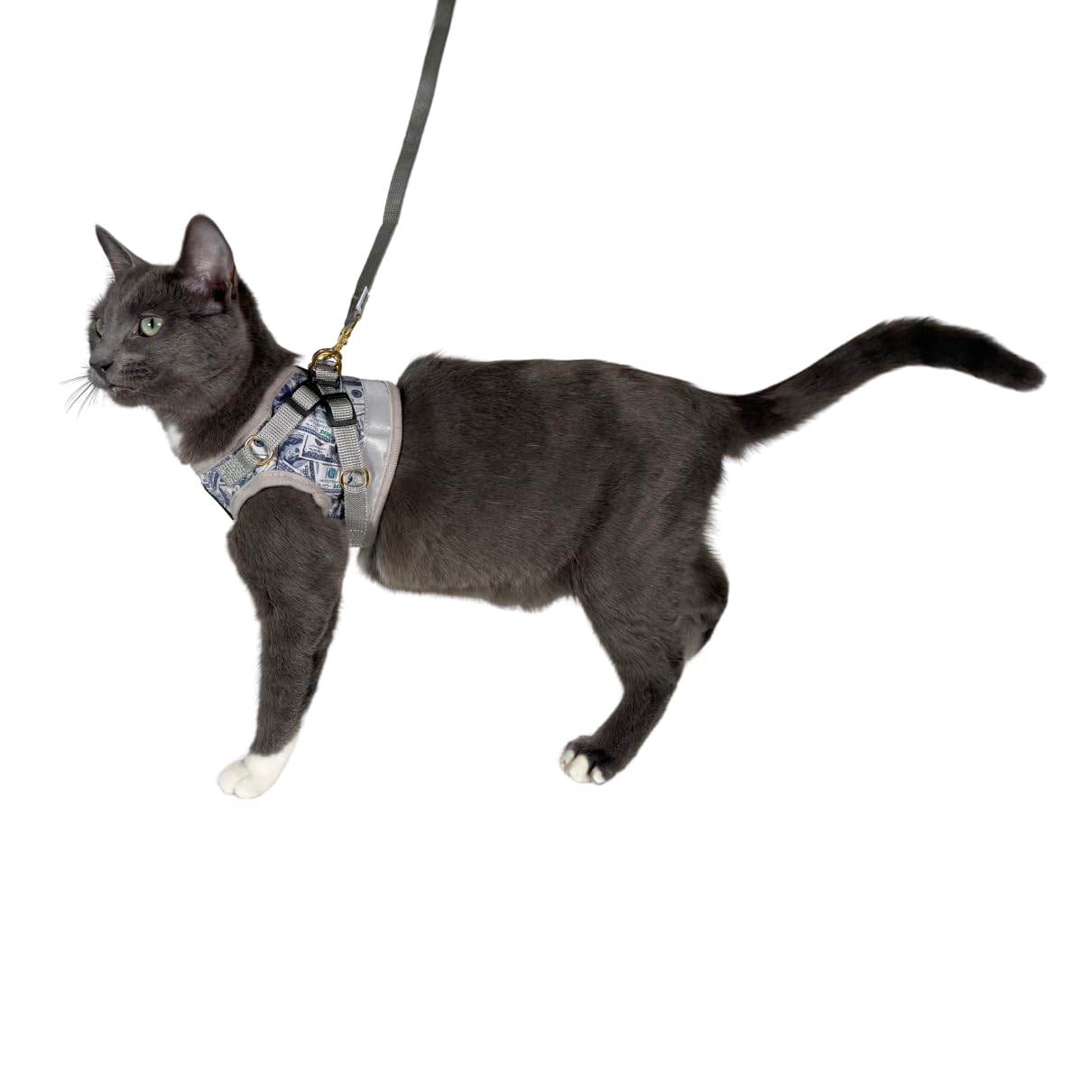 Juego de arnés y correa de viaje para gato, arnés de malla ajustable y correa reflectante, cómodo a prueba de escape para gatitos para caminar al aire libre, senderismo (L, cachemir)
