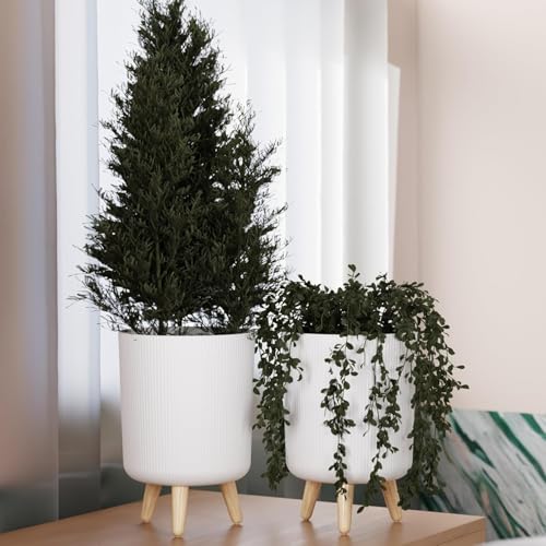 Image of Modern White Plant Pot with Stand (Pack of 1) | Ribbed Plastic Flower Pot with Wooden Legs | Indoor Outdoor Planter for Home, Living Room, Balcony & Office Decor