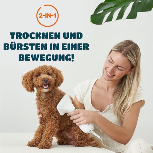 KUUBIA Hundeföhn | 2-in-1 Haartrockner mit Bürste | Hundefön für kleine und mittelgroße Hunde & Katzen | 300W Blower, tragbar, relativ leise, einstellbare Temperatur, Edelstahl-Zupfbürste