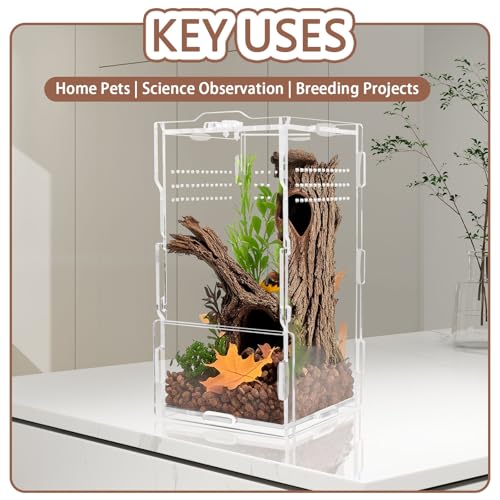 Image of Jumping Spider Enclosure Acrylic Terrarium 8x4x4 | Crystal clear 360 acrylic viewing