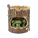 WGGTX Decorazione del Desktop Piante Creative Vasi Spazzola Pot fioriera for Fiore Sedum Piante grasse Desk Garden Room Decor Pot Dolce Green Frog Decorazioni Desktop per Ufficio, Decorazioni deskt