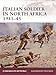 Italian soldier in North Africa 194143 (Warrior)