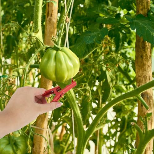 Image of HASTHIP 20Pcs Plant Clips, 3.5 inch Vine Support Clips Reusable Garden Plant Clips for Stems & Climbing Plants, Snap-On Clips for Trellis, Tomato, Orchid, and Vegetable Support